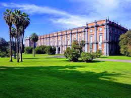 Tra Storia e Natura: L’Esperienza di Noi Educarte al Museo e Real Bosco di Capodimonte